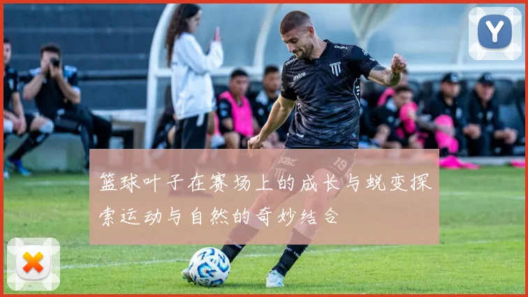 篮球叶子在赛场上的成长与蜕变探索运动与自然的奇妙结合