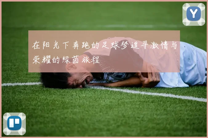 在阳光下奔跑的足球梦追寻激情与荣耀的绿茵旅程