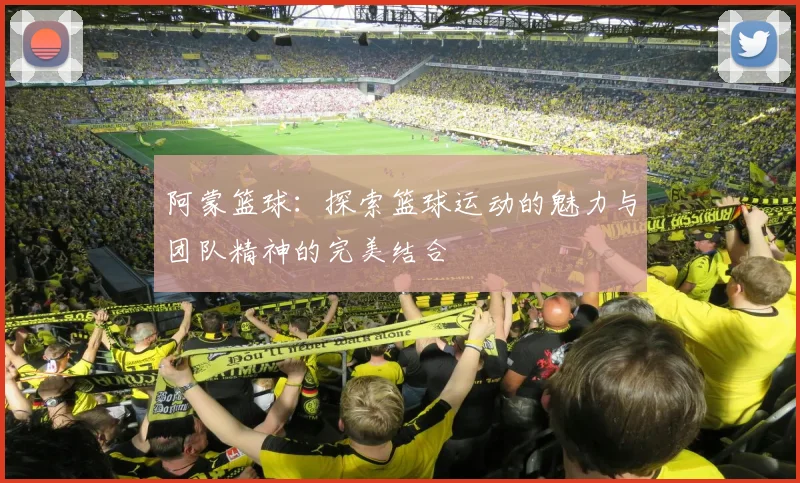 阿蒙篮球：探索篮球运动的魅力与团队精神的完美结合