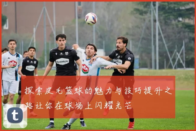 探索皮毛篮球的魅力与技巧提升之路让你在球场上闪耀光芒